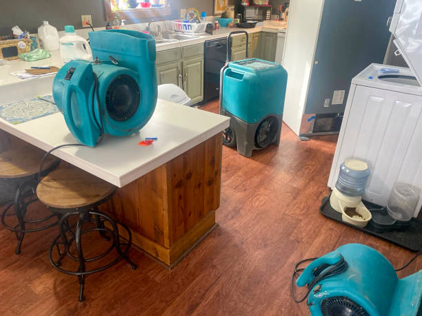 Best Professional water damage repair  in Moody, TX