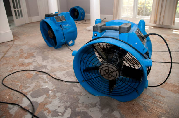 Best Flood damage cleanup  in Moody, TX